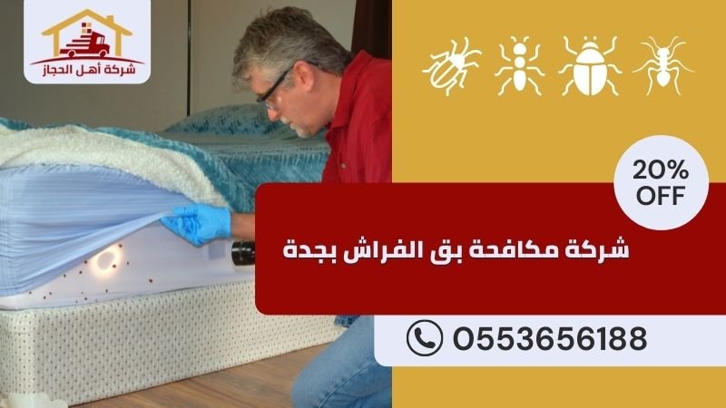 شركة نظافة بق افراش جدة - خدماتنا وإمكانياتنا