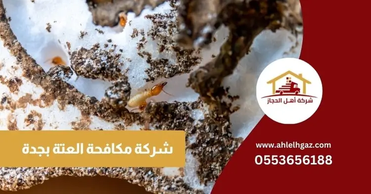 شركة مكافحة العتة بجدة