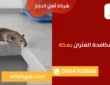 شركة مكافحة الفئران بمكة