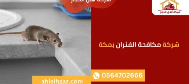 شركة مكافحة الفئران بمكة