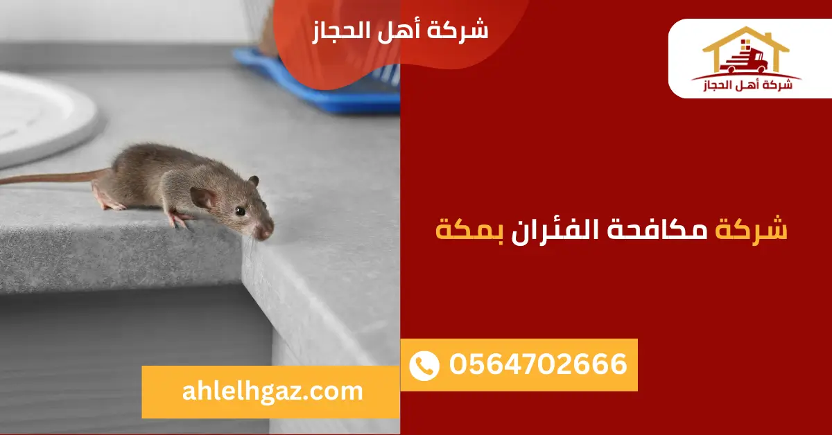 شركة مكافحة الفئران بمكة