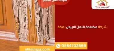 شركة مكافحة النمل الابيض بمكة