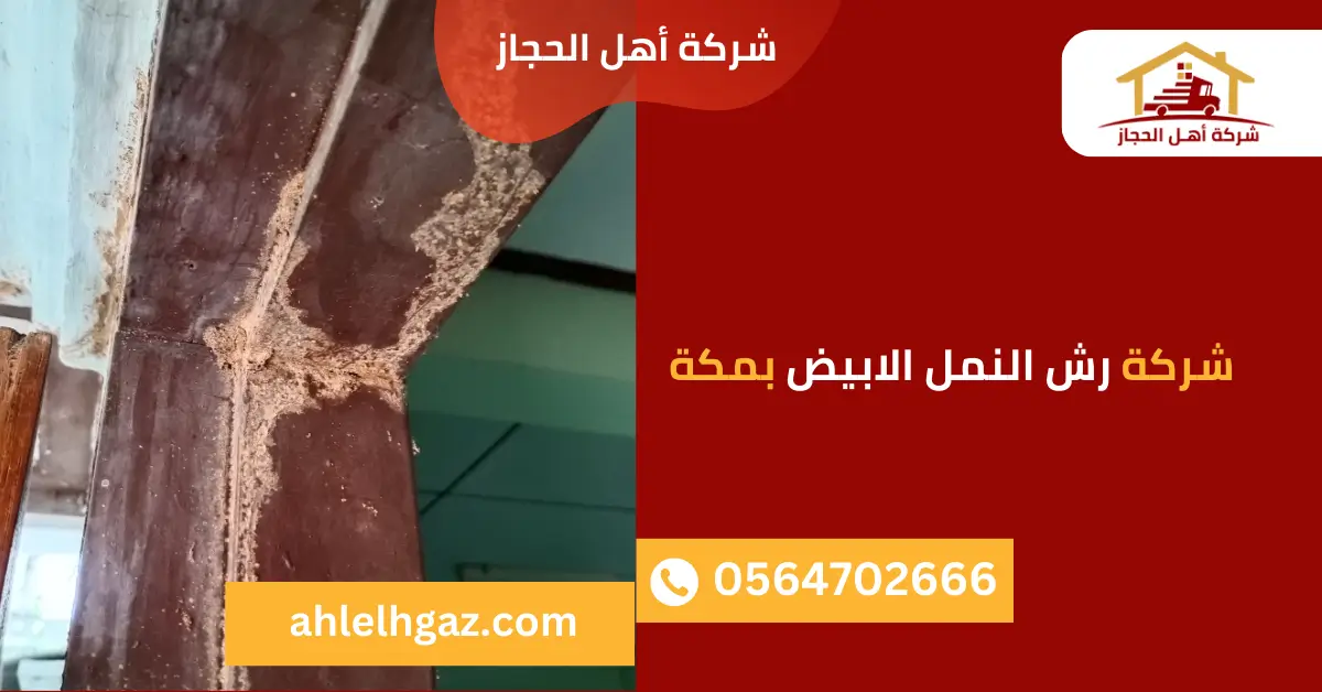 شركة مكافحة النمل الابيض بمكة